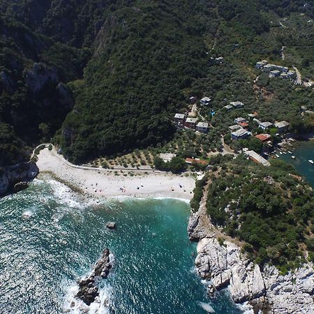 Beachfront Pelion Getaways - Palia Damouchari Suites Eksteriør billede